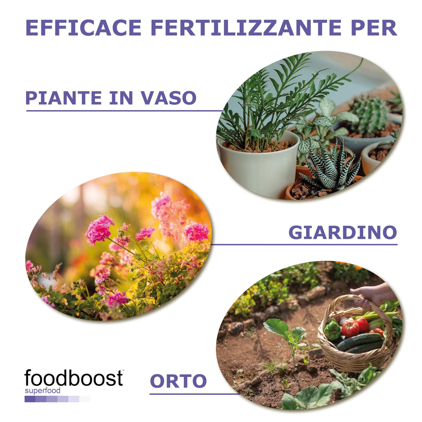 Sale Epsom Puro da 3 kg