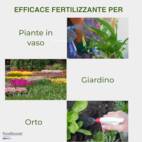 Sale Epsom Puro da 1 kg