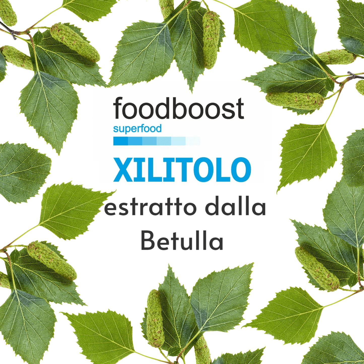 Xilitolo finlandese di Betulla 2kg