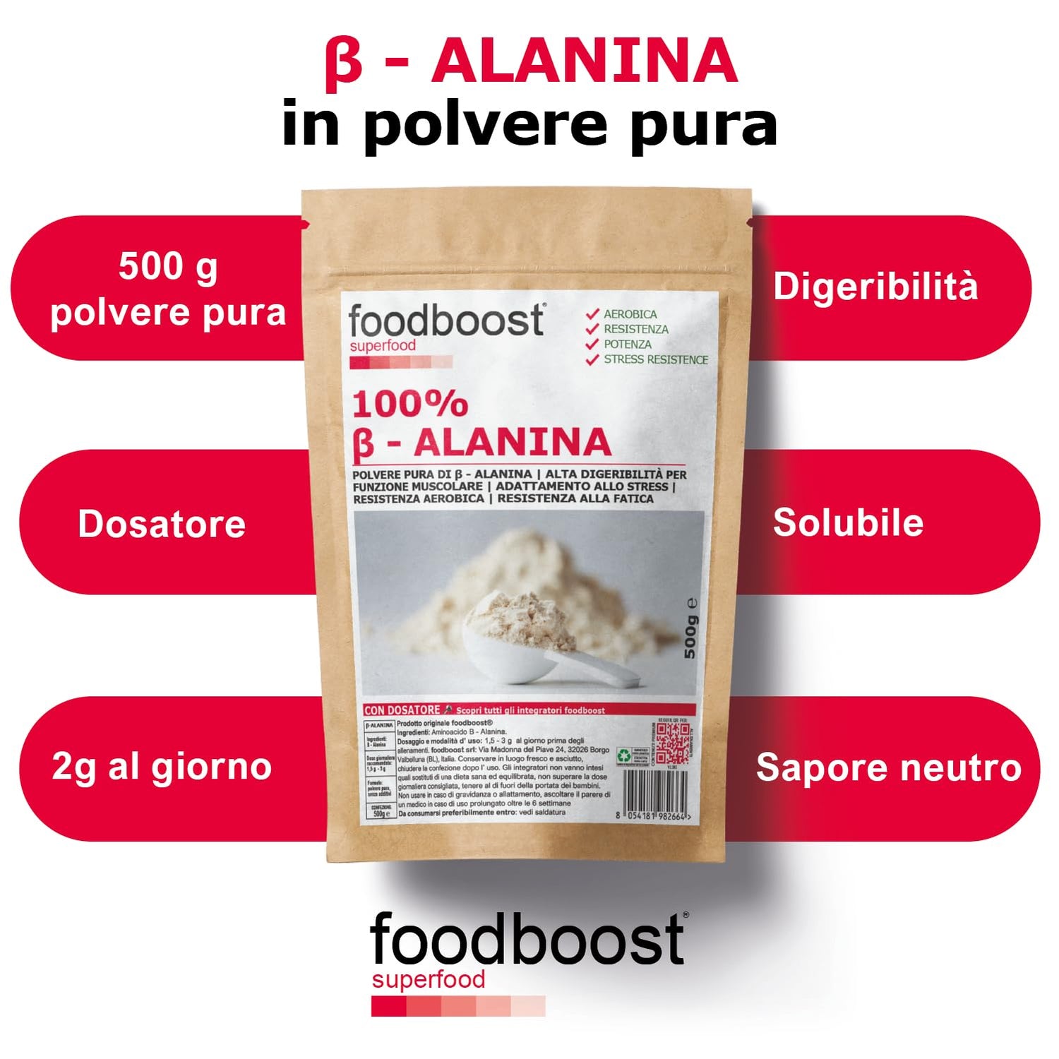 B-Alanina 500g in Polvere