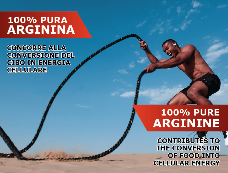 L - Arginine Powder 500g