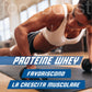 Power Kit - 3 KG of Whey Protein 3 flavors strawberry vanilla chocolate powder