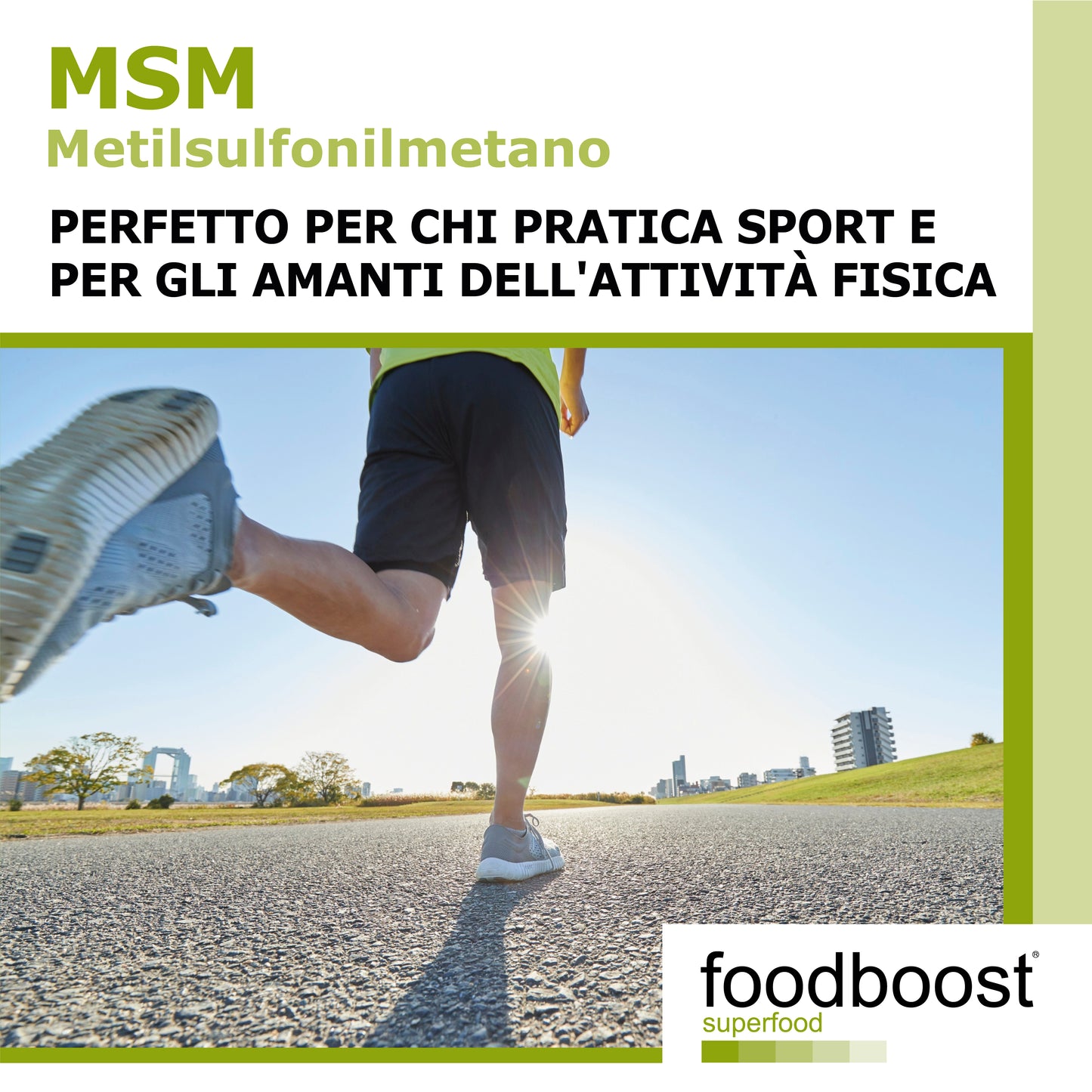 MSM Metilsulfonilmetano in polvere da 1 Kg