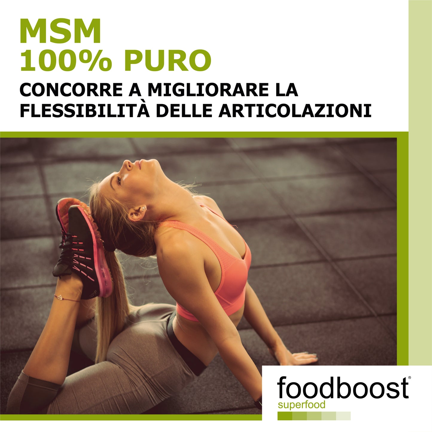 MSM Metilsulfonilmetano in polvere da 1 Kg