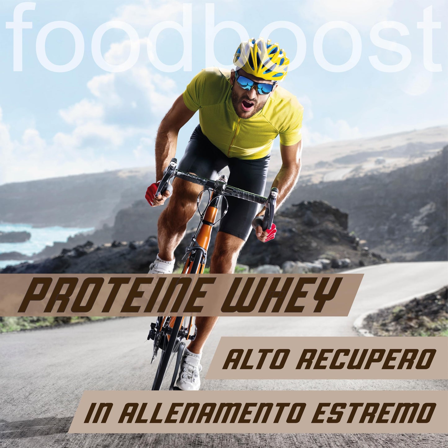 Whey Protein Chocolate 1kg Powder