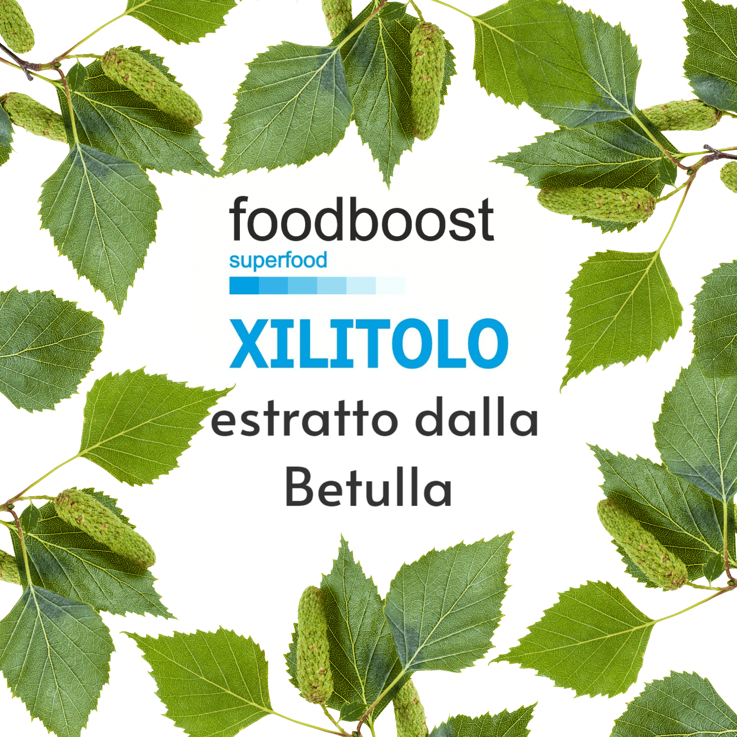 Finnish Birch Xylitol 1kg 